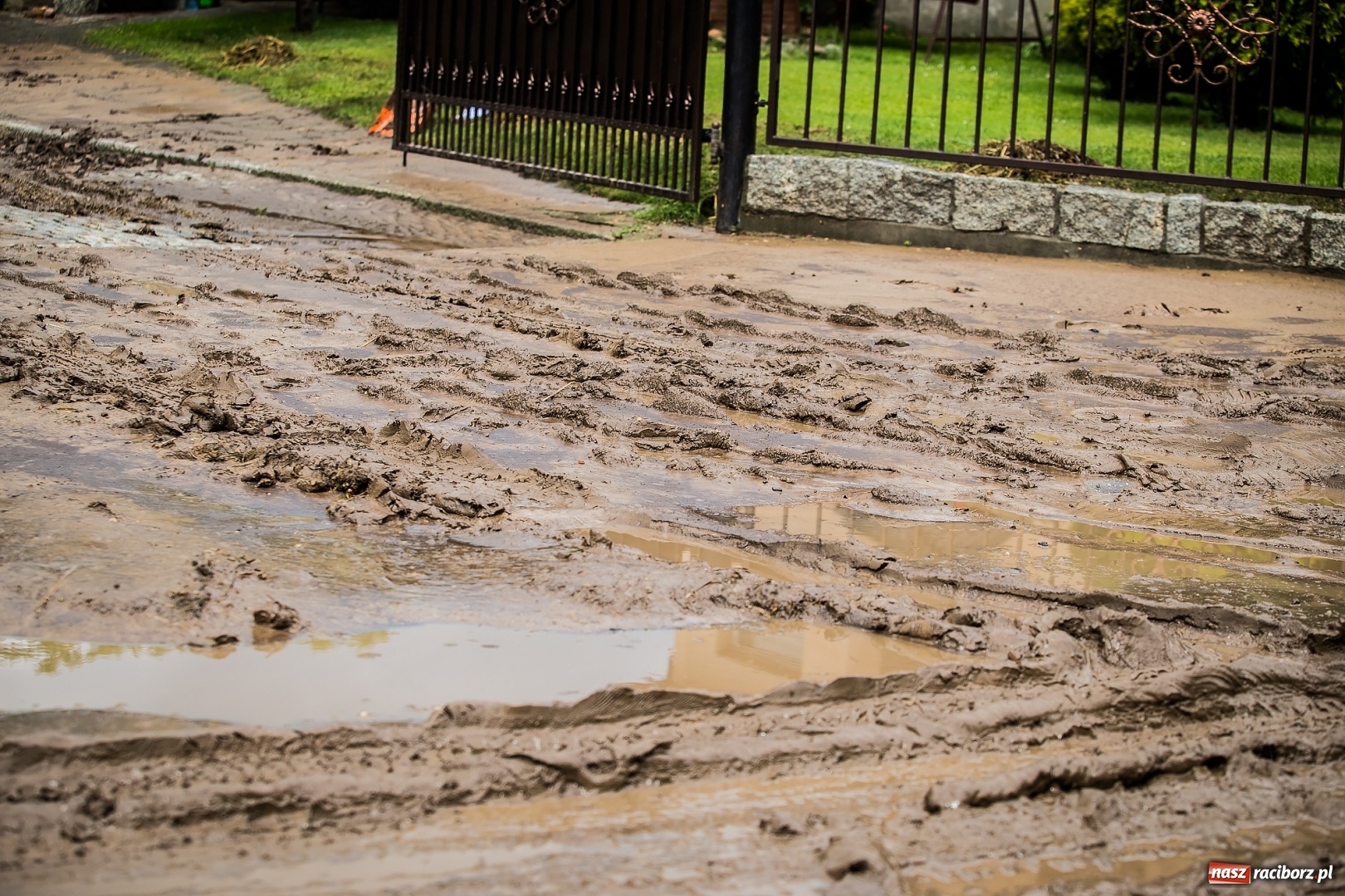 Zdjęcie w galerii na portalu naszraciborz.pl: Intensywne opady deszczu spowodowały podtopienia w gminie Krzanowice wiadomości z regionu