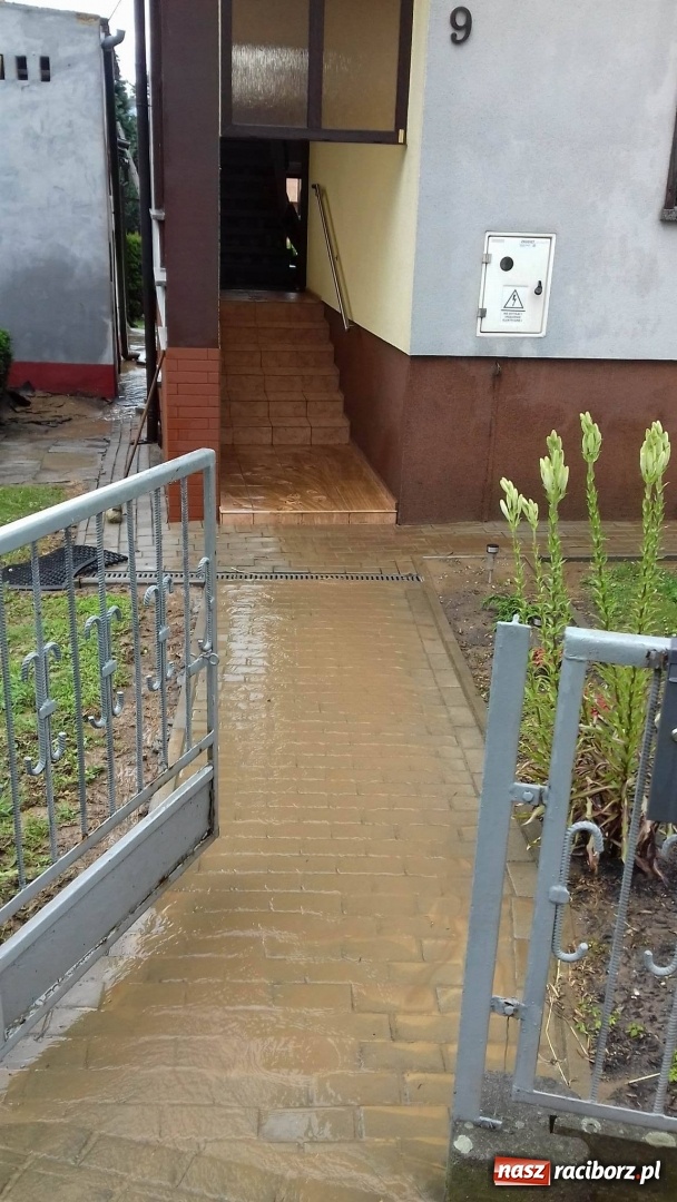 Zdjęcie w galerii na portalu naszraciborz.pl: Intensywne opady deszczu spowodowały podtopienia w gminie Krzanowice wiadomości z regionu