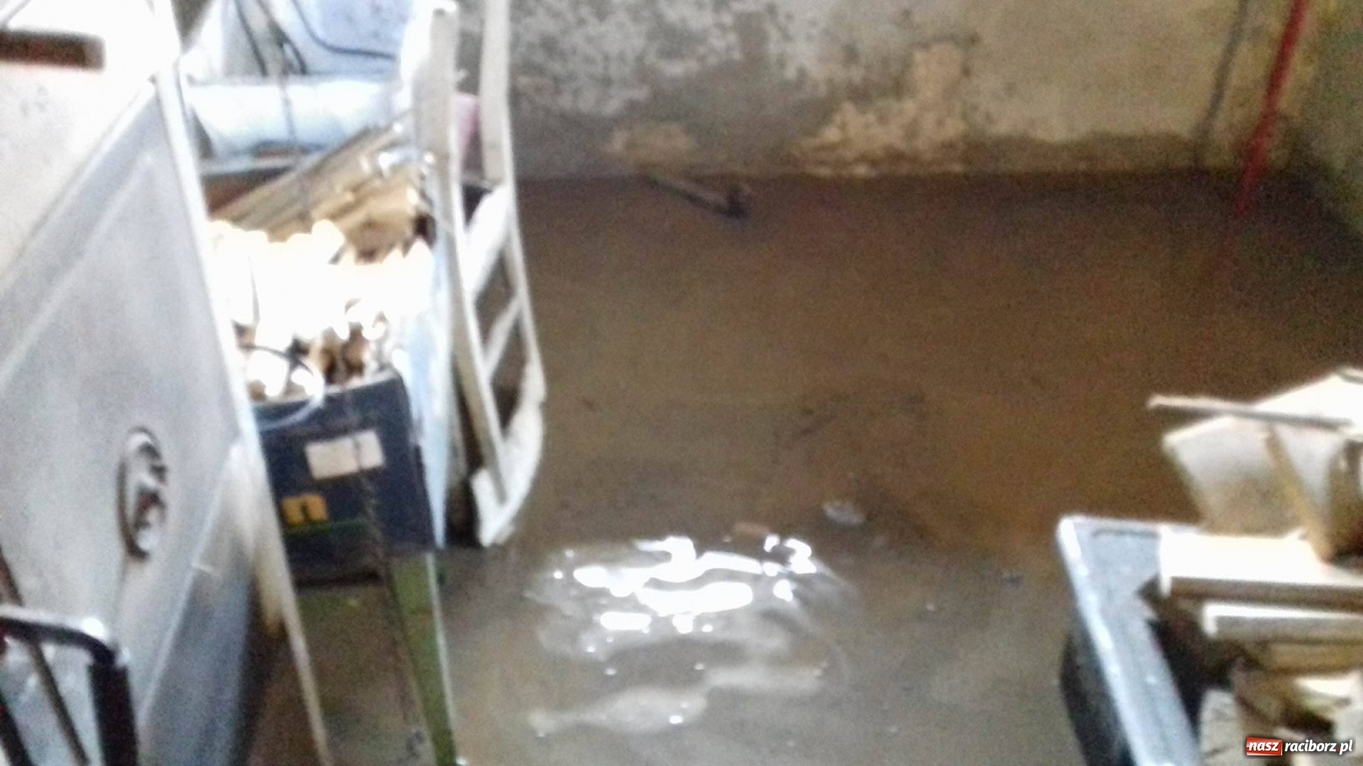 Zdjęcie w galerii na portalu naszraciborz.pl: Intensywne opady deszczu spowodowały podtopienia w gminie Krzanowice wiadomości z regionu