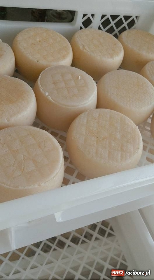 Zdjęcie w galerii na portalu naszraciborz.pl: Nauczyciele CKZiU nr 1 zdobywają nowe doświadczenia w Portugalii  wiadomości z regionu