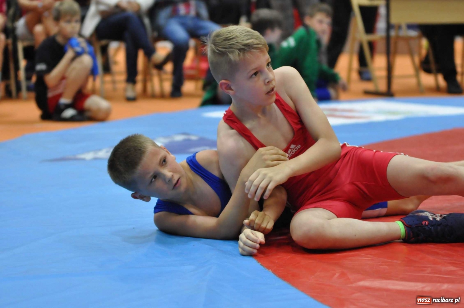 Zdjęcie w galerii na portalu naszraciborz.pl: I Memoriał im. Grzegorza Pieronkiewicza FOTO wiadomości z regionu