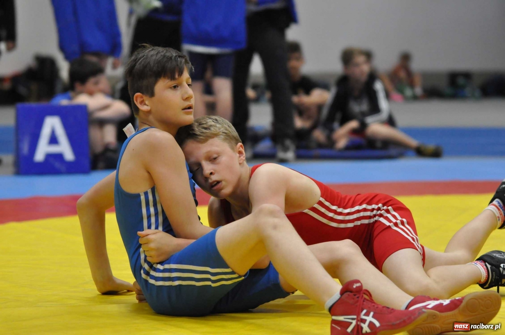 Zdjęcie w galerii na portalu naszraciborz.pl: I Memoriał im. Grzegorza Pieronkiewicza FOTO wiadomości z regionu