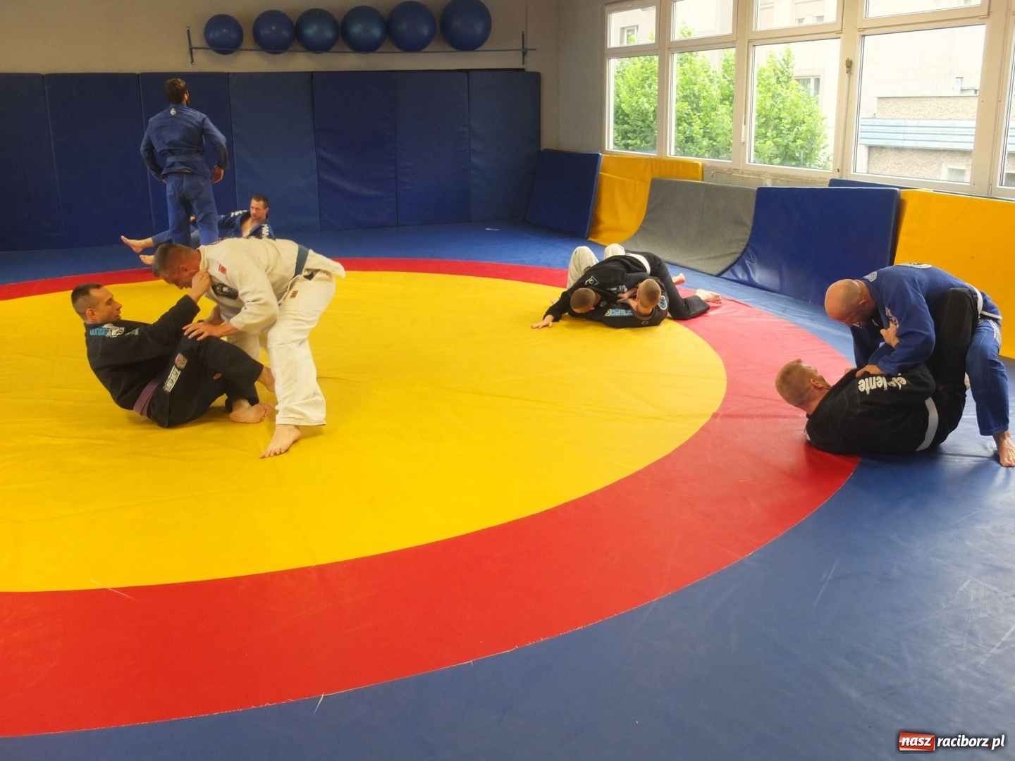 Zdjęcie w galerii na portalu naszraciborz.pl: Seminarium szkoleniowe oraz promocja na czarny pas Kamila Tarnawskiego wiadomości z regionu