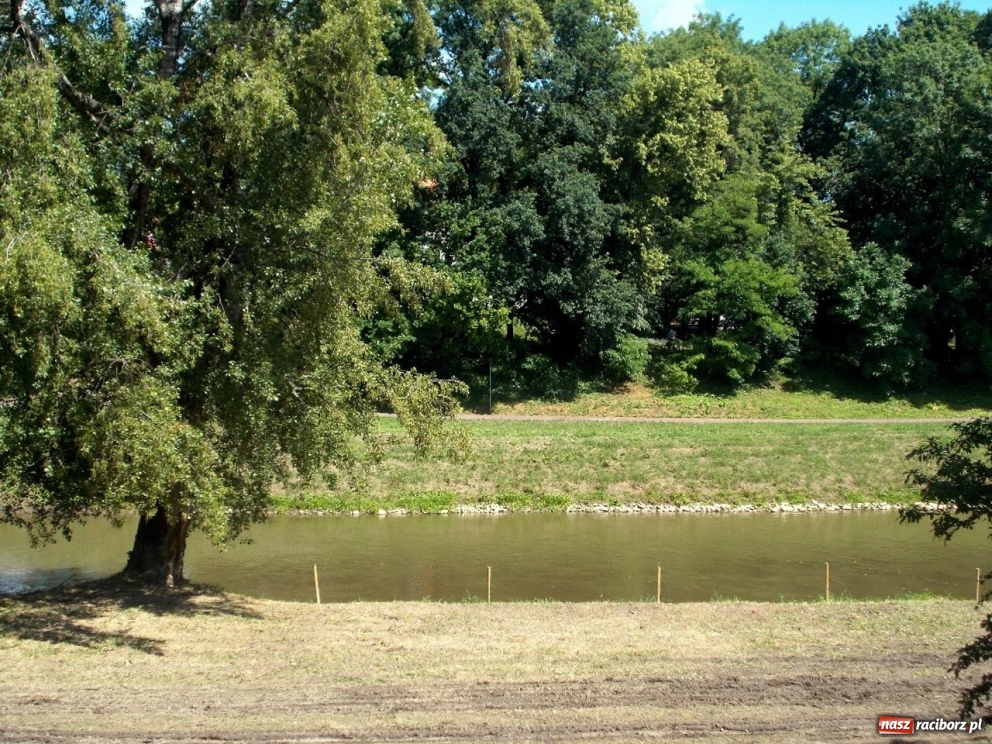 Zdjęcie w galerii na portalu naszraciborz.pl: HF800RC w plenerze podczas Dni Raciborza wiadomości z regionu
