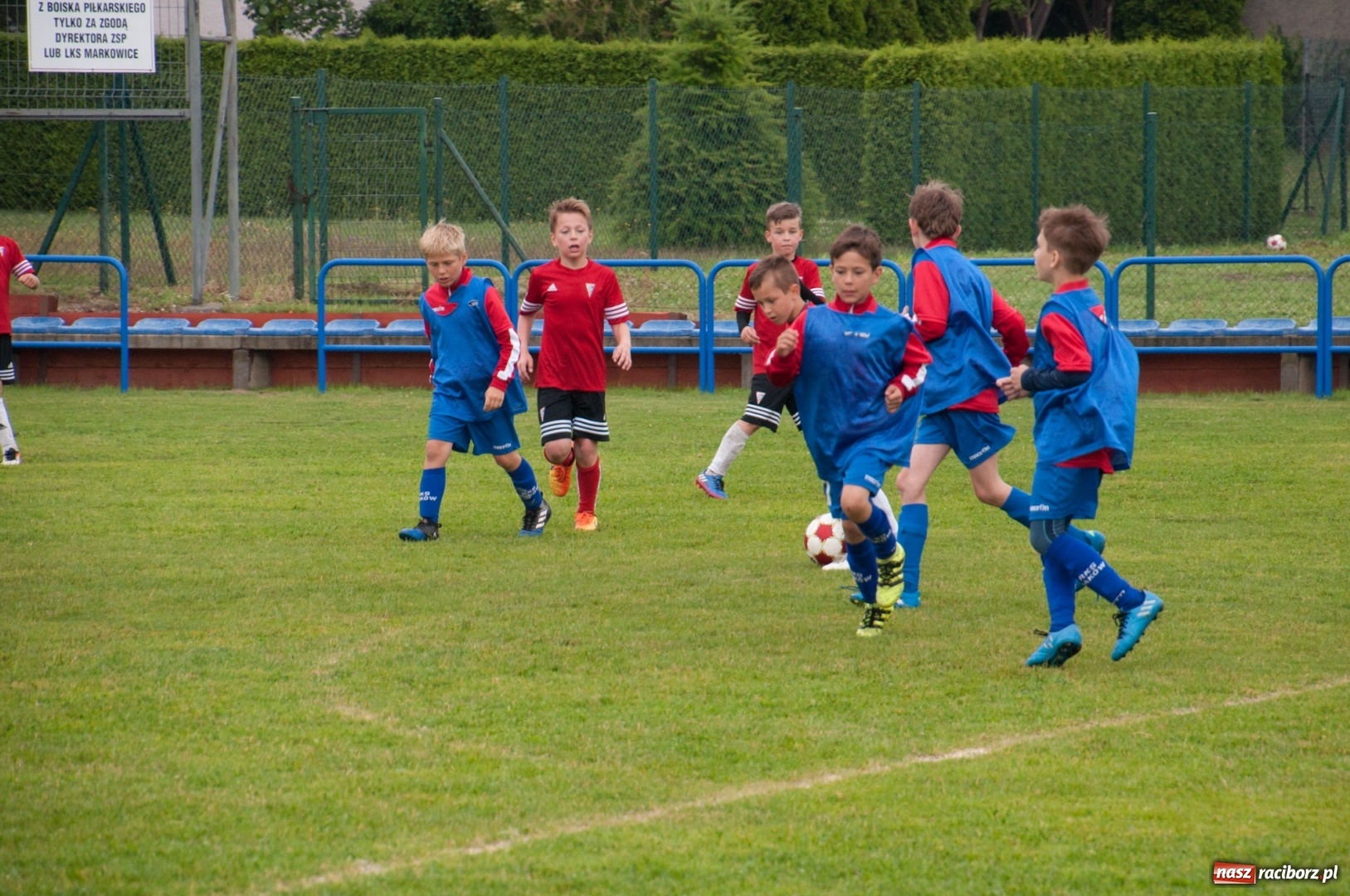 Zdjęcie w galerii na portalu naszraciborz.pl: Raków Częstochowa zwycięzcą turnieju piłki nożnej zorganizowanego przez LKS 07 Markowice wiadomości z regionu