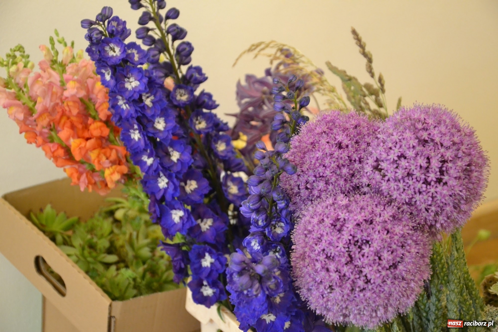 Zdjęcie w galerii na portalu naszraciborz.pl: Tomasz Paszczyński z Raciborza zwycięża w III Krajowych Mistrzostwach Florystycznych Regionu Śląsko-Opolskiego wiadomości z regionu