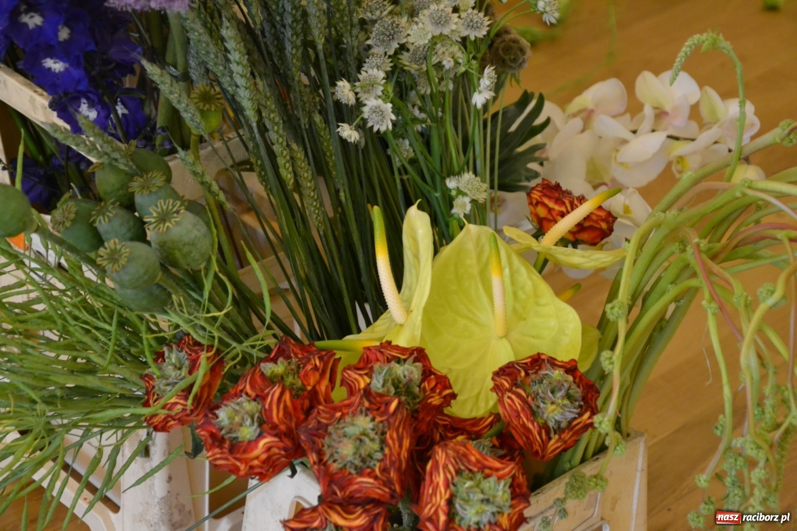 Zdjęcie w galerii na portalu naszraciborz.pl: Tomasz Paszczyński z Raciborza zwycięża w III Krajowych Mistrzostwach Florystycznych Regionu Śląsko-Opolskiego wiadomości z regionu