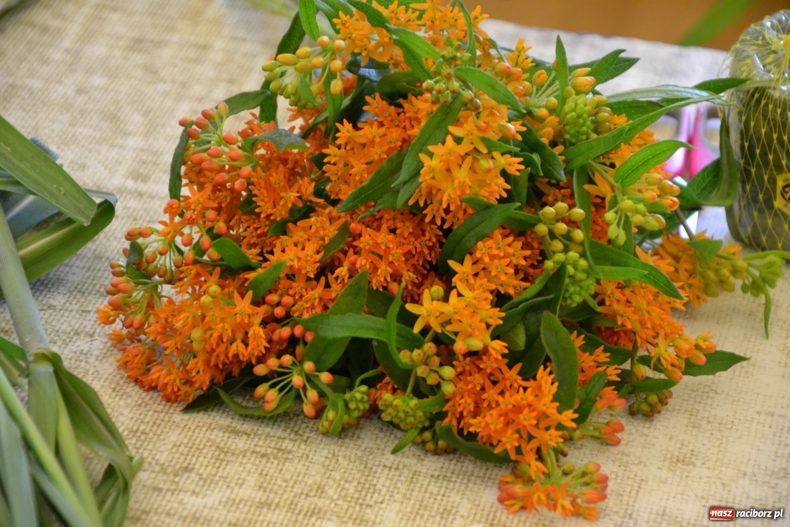 Zdjęcie w galerii na portalu naszraciborz.pl: Tomasz Paszczyński z Raciborza zwycięża w III Krajowych Mistrzostwach Florystycznych Regionu Śląsko-Opolskiego wiadomości z regionu