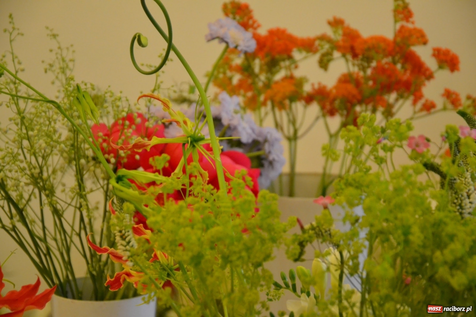 Zdjęcie w galerii na portalu naszraciborz.pl: Tomasz Paszczyński z Raciborza zwycięża w III Krajowych Mistrzostwach Florystycznych Regionu Śląsko-Opolskiego wiadomości z regionu