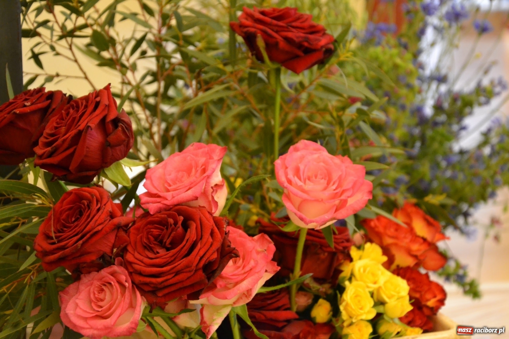 Zdjęcie w galerii na portalu naszraciborz.pl: Tomasz Paszczyński z Raciborza zwycięża w III Krajowych Mistrzostwach Florystycznych Regionu Śląsko-Opolskiego wiadomości z regionu