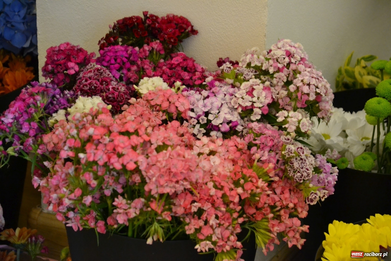 Zdjęcie w galerii na portalu naszraciborz.pl: Tomasz Paszczyński z Raciborza zwycięża w III Krajowych Mistrzostwach Florystycznych Regionu Śląsko-Opolskiego wiadomości z regionu