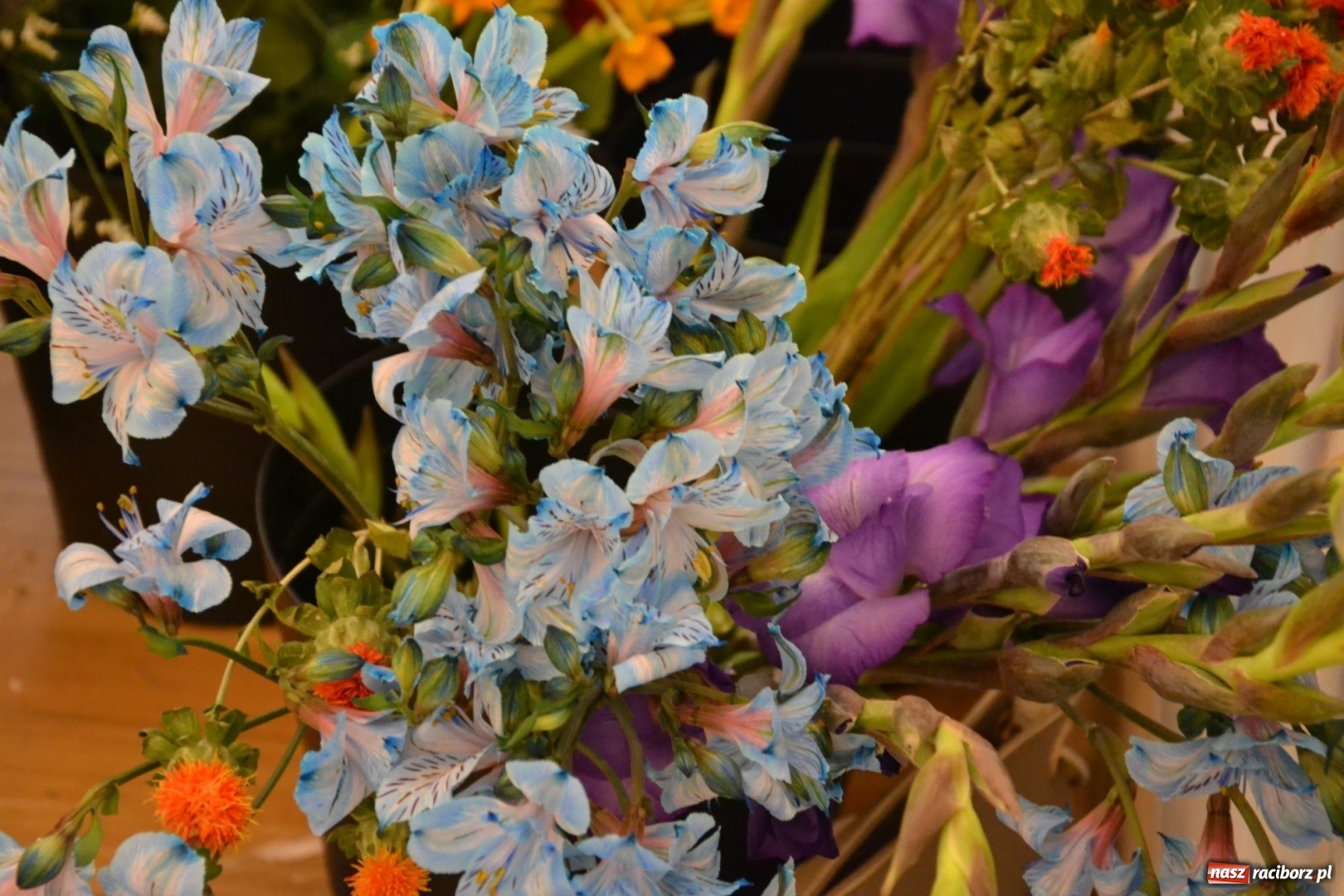 Zdjęcie w galerii na portalu naszraciborz.pl: Tomasz Paszczyński z Raciborza zwycięża w III Krajowych Mistrzostwach Florystycznych Regionu Śląsko-Opolskiego wiadomości z regionu