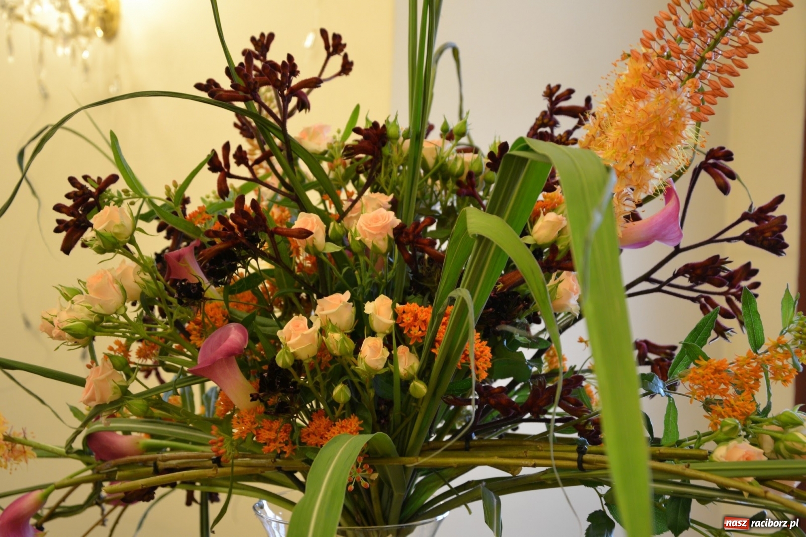 Zdjęcie w galerii na portalu naszraciborz.pl: Tomasz Paszczyński z Raciborza zwycięża w III Krajowych Mistrzostwach Florystycznych Regionu Śląsko-Opolskiego wiadomości z regionu