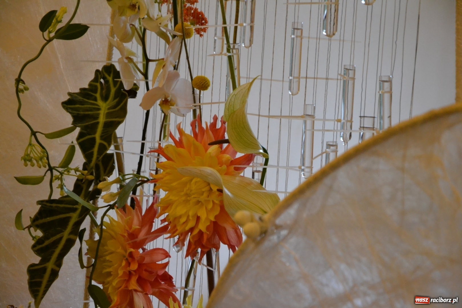 Zdjęcie w galerii na portalu naszraciborz.pl: Tomasz Paszczyński z Raciborza zwycięża w III Krajowych Mistrzostwach Florystycznych Regionu Śląsko-Opolskiego wiadomości z regionu