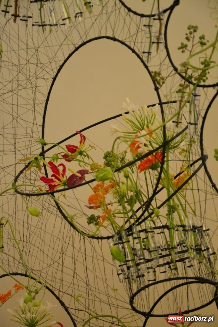 Zdjęcie w galerii na portalu naszraciborz.pl: Tomasz Paszczyński z Raciborza zwycięża w III Krajowych Mistrzostwach Florystycznych Regionu Śląsko-Opolskiego wiadomości z regionu