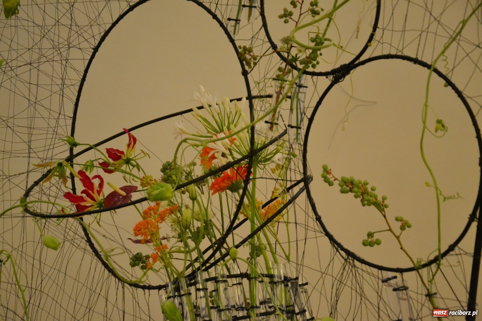 Zdjęcie w galerii na portalu naszraciborz.pl: Tomasz Paszczyński z Raciborza zwycięża w III Krajowych Mistrzostwach Florystycznych Regionu Śląsko-Opolskiego wiadomości z regionu