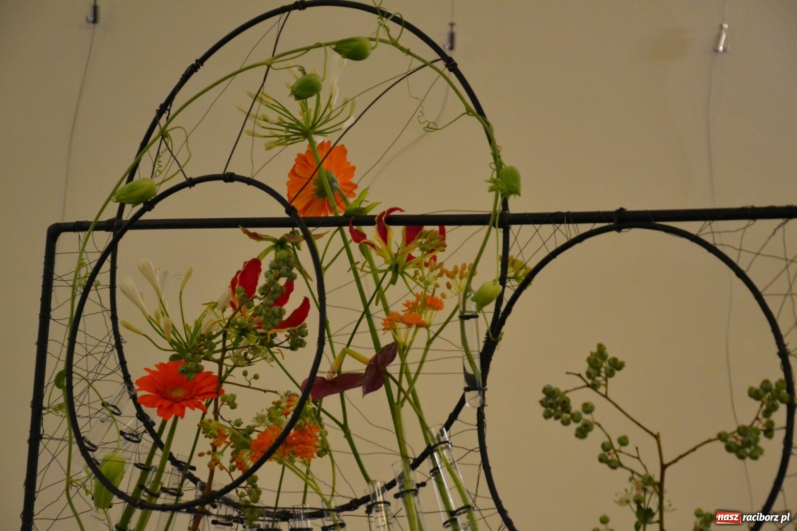 Zdjęcie w galerii na portalu naszraciborz.pl: Tomasz Paszczyński z Raciborza zwycięża w III Krajowych Mistrzostwach Florystycznych Regionu Śląsko-Opolskiego wiadomości z regionu