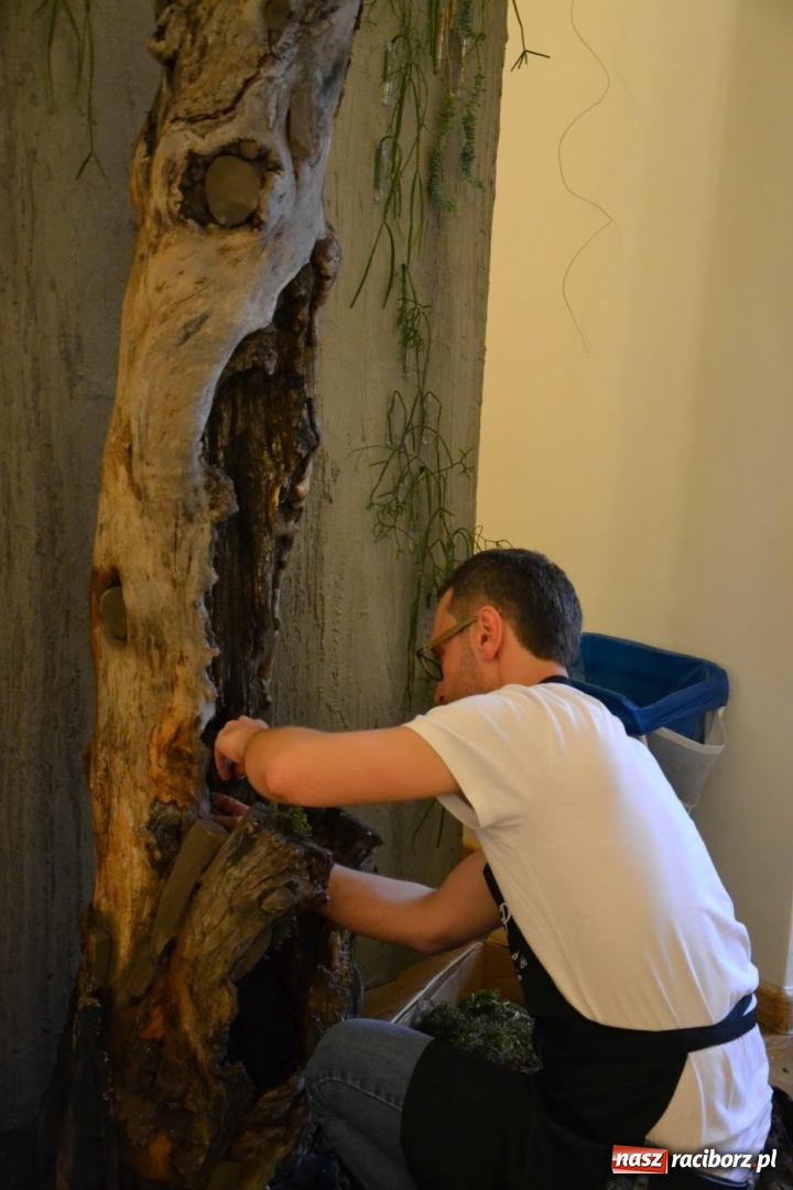 Zdjęcie w galerii na portalu naszraciborz.pl: Tomasz Paszczyński z Raciborza zwycięża w III Krajowych Mistrzostwach Florystycznych Regionu Śląsko-Opolskiego wiadomości z regionu