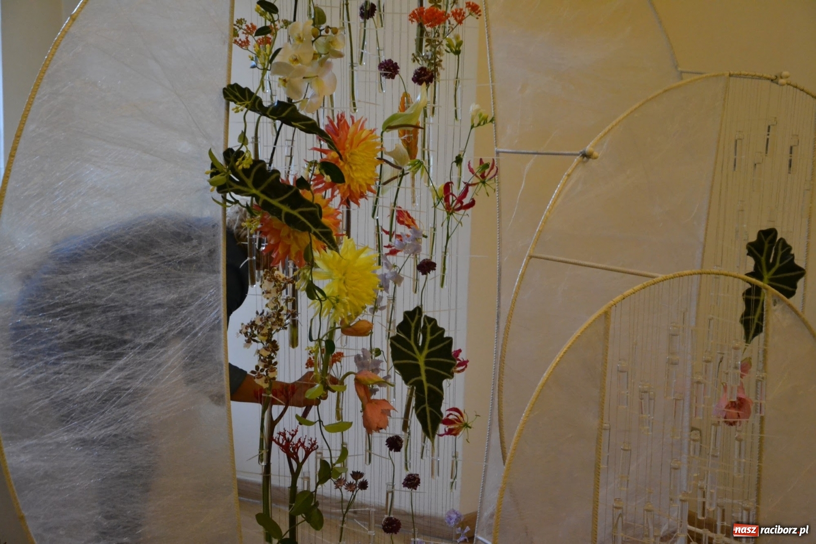 Zdjęcie w galerii na portalu naszraciborz.pl: Tomasz Paszczyński z Raciborza zwycięża w III Krajowych Mistrzostwach Florystycznych Regionu Śląsko-Opolskiego wiadomości z regionu