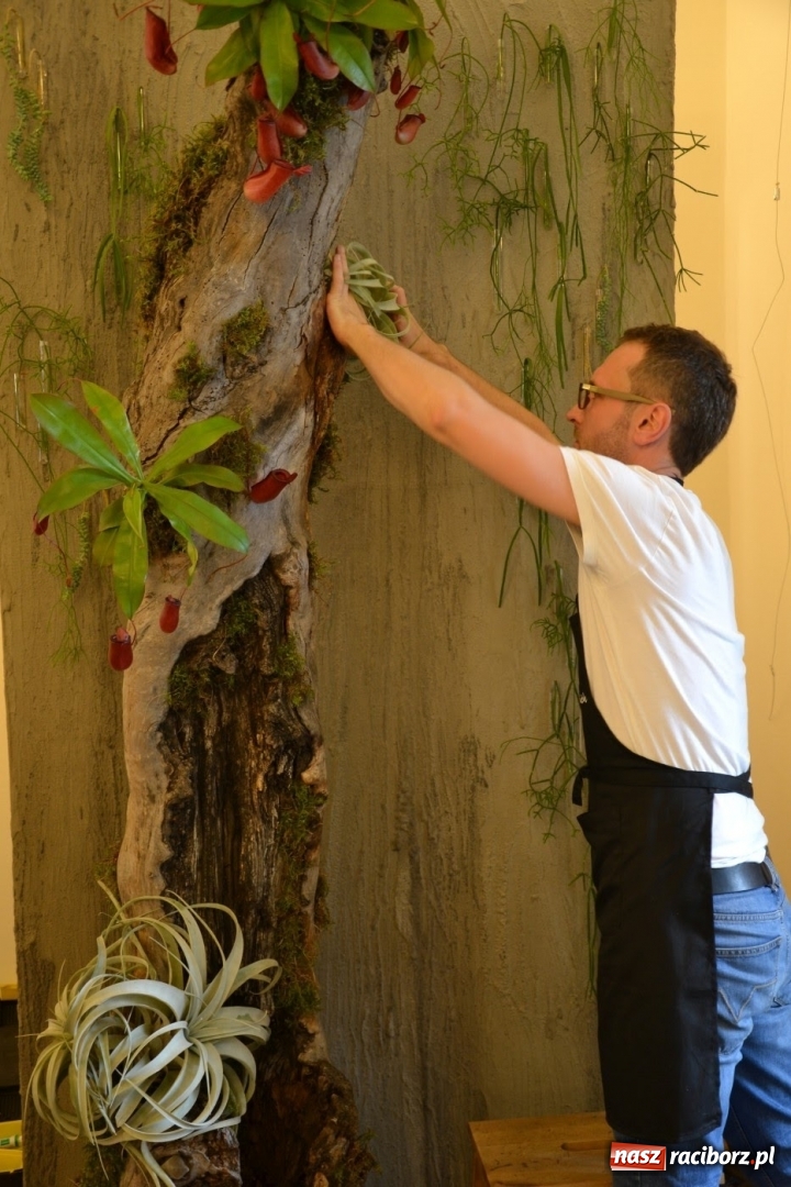 Zdjęcie w galerii na portalu naszraciborz.pl: Tomasz Paszczyński z Raciborza zwycięża w III Krajowych Mistrzostwach Florystycznych Regionu Śląsko-Opolskiego wiadomości z regionu