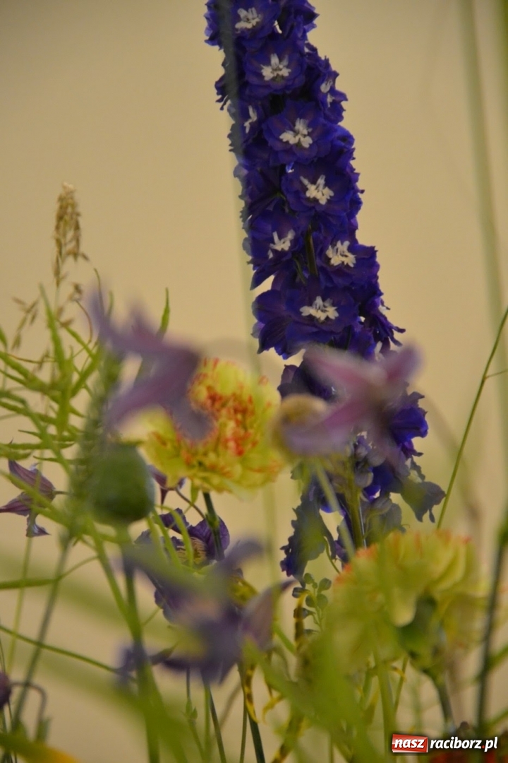 Zdjęcie w galerii na portalu naszraciborz.pl: Tomasz Paszczyński z Raciborza zwycięża w III Krajowych Mistrzostwach Florystycznych Regionu Śląsko-Opolskiego wiadomości z regionu