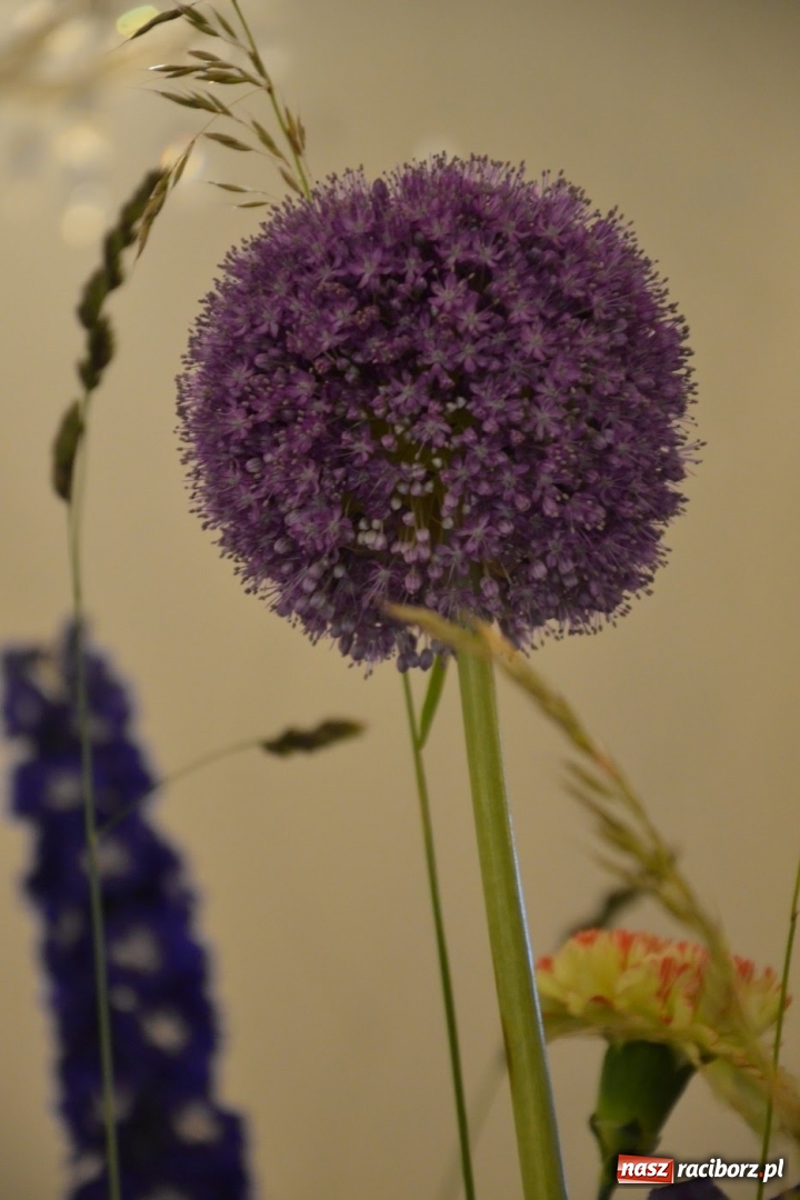 Zdjęcie w galerii na portalu naszraciborz.pl: Tomasz Paszczyński z Raciborza zwycięża w III Krajowych Mistrzostwach Florystycznych Regionu Śląsko-Opolskiego wiadomości z regionu