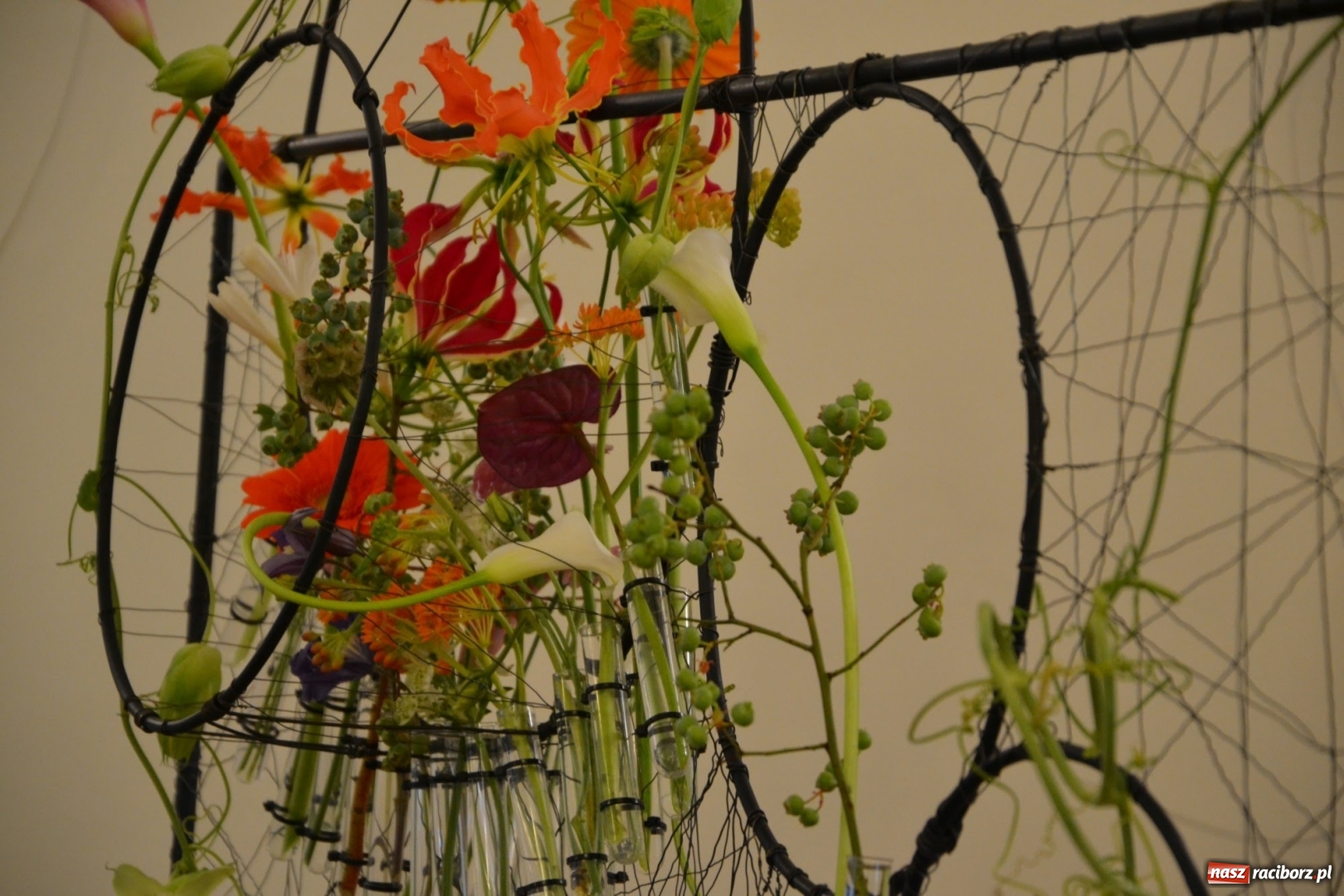 Zdjęcie w galerii na portalu naszraciborz.pl: Tomasz Paszczyński z Raciborza zwycięża w III Krajowych Mistrzostwach Florystycznych Regionu Śląsko-Opolskiego wiadomości z regionu