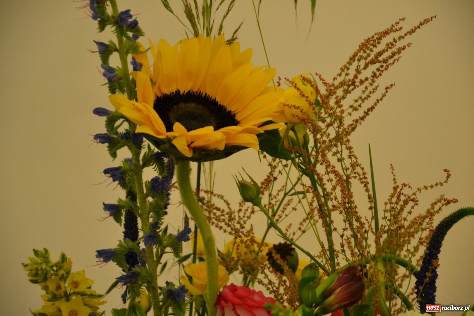 Zdjęcie w galerii na portalu naszraciborz.pl: Tomasz Paszczyński z Raciborza zwycięża w III Krajowych Mistrzostwach Florystycznych Regionu Śląsko-Opolskiego wiadomości z regionu