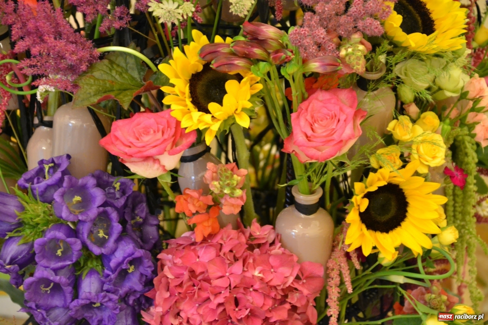 Zdjęcie w galerii na portalu naszraciborz.pl: Tomasz Paszczyński z Raciborza zwycięża w III Krajowych Mistrzostwach Florystycznych Regionu Śląsko-Opolskiego wiadomości z regionu