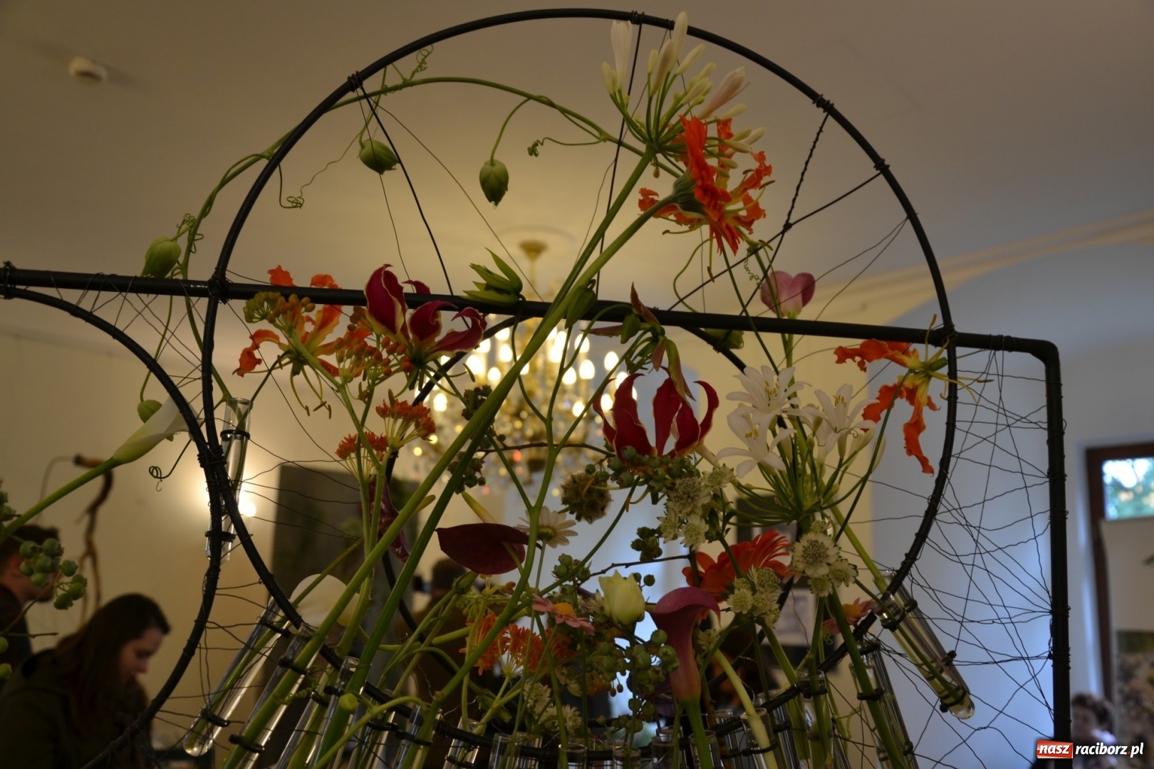 Zdjęcie w galerii na portalu naszraciborz.pl: Tomasz Paszczyński z Raciborza zwycięża w III Krajowych Mistrzostwach Florystycznych Regionu Śląsko-Opolskiego wiadomości z regionu