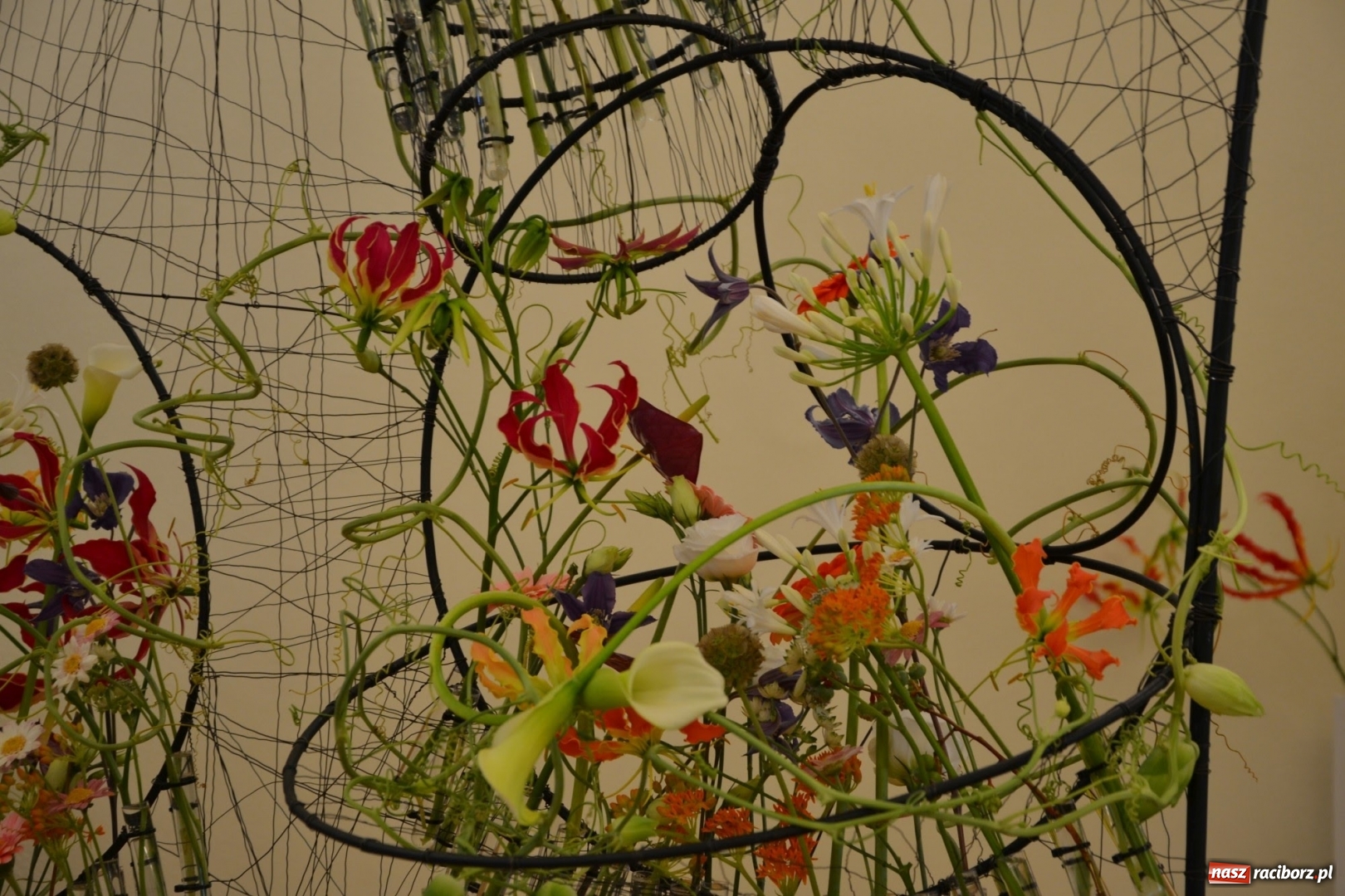 Zdjęcie w galerii na portalu naszraciborz.pl: Tomasz Paszczyński z Raciborza zwycięża w III Krajowych Mistrzostwach Florystycznych Regionu Śląsko-Opolskiego wiadomości z regionu