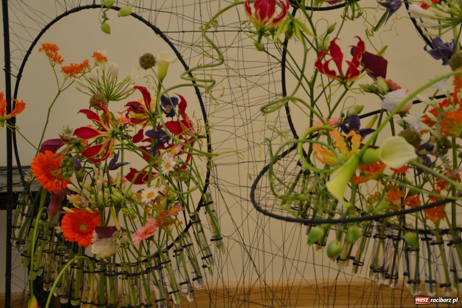 Zdjęcie w galerii na portalu naszraciborz.pl: Tomasz Paszczyński z Raciborza zwycięża w III Krajowych Mistrzostwach Florystycznych Regionu Śląsko-Opolskiego wiadomości z regionu