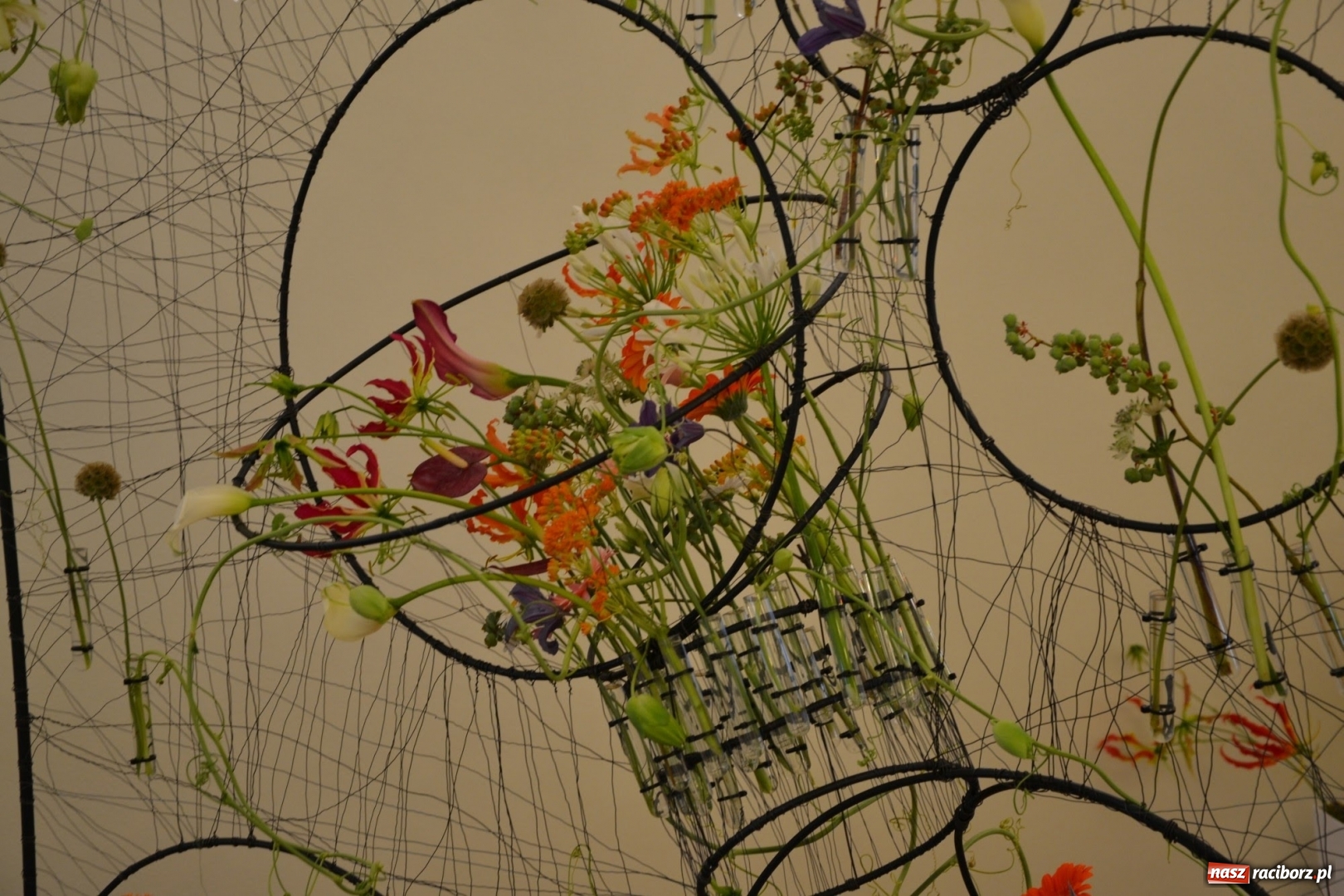 Zdjęcie w galerii na portalu naszraciborz.pl: Tomasz Paszczyński z Raciborza zwycięża w III Krajowych Mistrzostwach Florystycznych Regionu Śląsko-Opolskiego wiadomości z regionu