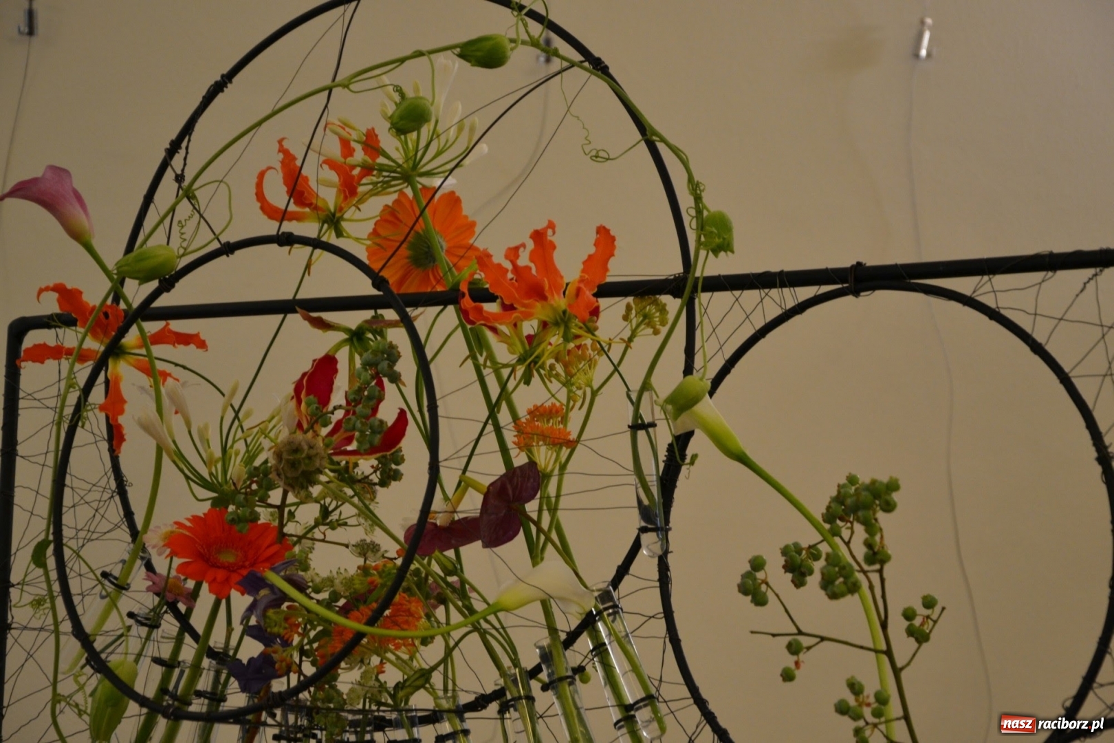 Zdjęcie w galerii na portalu naszraciborz.pl: Tomasz Paszczyński z Raciborza zwycięża w III Krajowych Mistrzostwach Florystycznych Regionu Śląsko-Opolskiego wiadomości z regionu