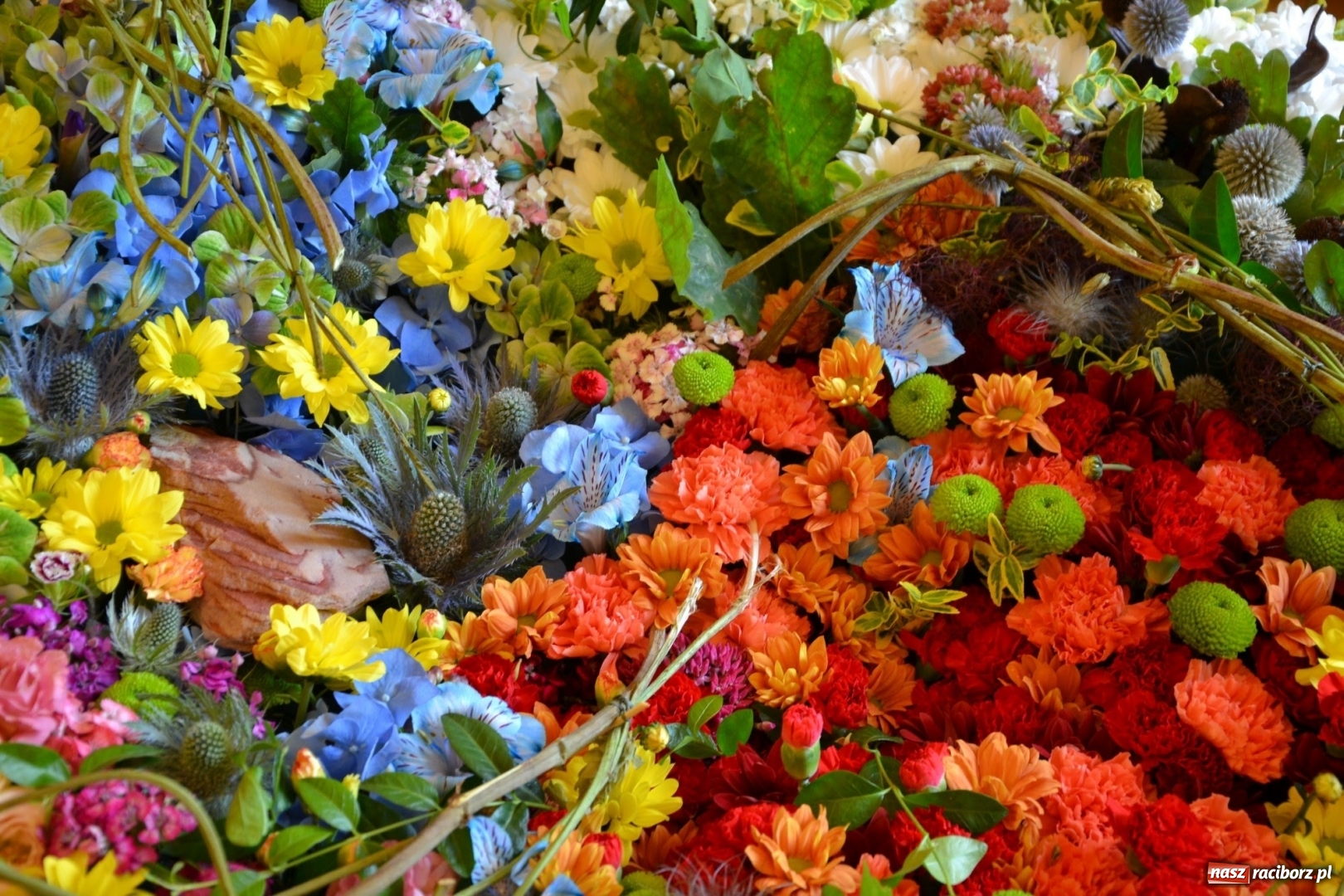 Zdjęcie w galerii na portalu naszraciborz.pl: Tomasz Paszczyński z Raciborza zwycięża w III Krajowych Mistrzostwach Florystycznych Regionu Śląsko-Opolskiego wiadomości z regionu