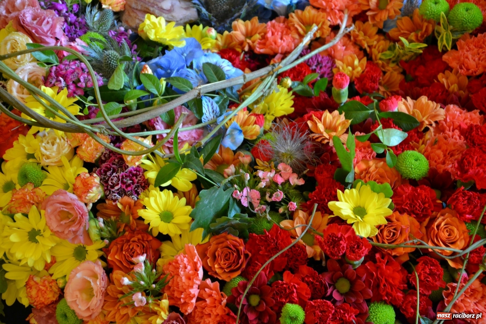 Zdjęcie w galerii na portalu naszraciborz.pl: Tomasz Paszczyński z Raciborza zwycięża w III Krajowych Mistrzostwach Florystycznych Regionu Śląsko-Opolskiego wiadomości z regionu