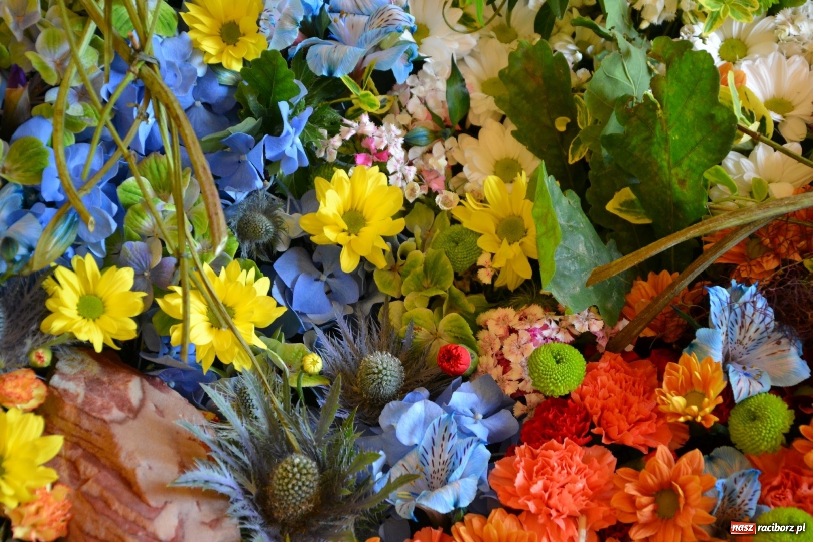 Zdjęcie w galerii na portalu naszraciborz.pl: Tomasz Paszczyński z Raciborza zwycięża w III Krajowych Mistrzostwach Florystycznych Regionu Śląsko-Opolskiego wiadomości z regionu