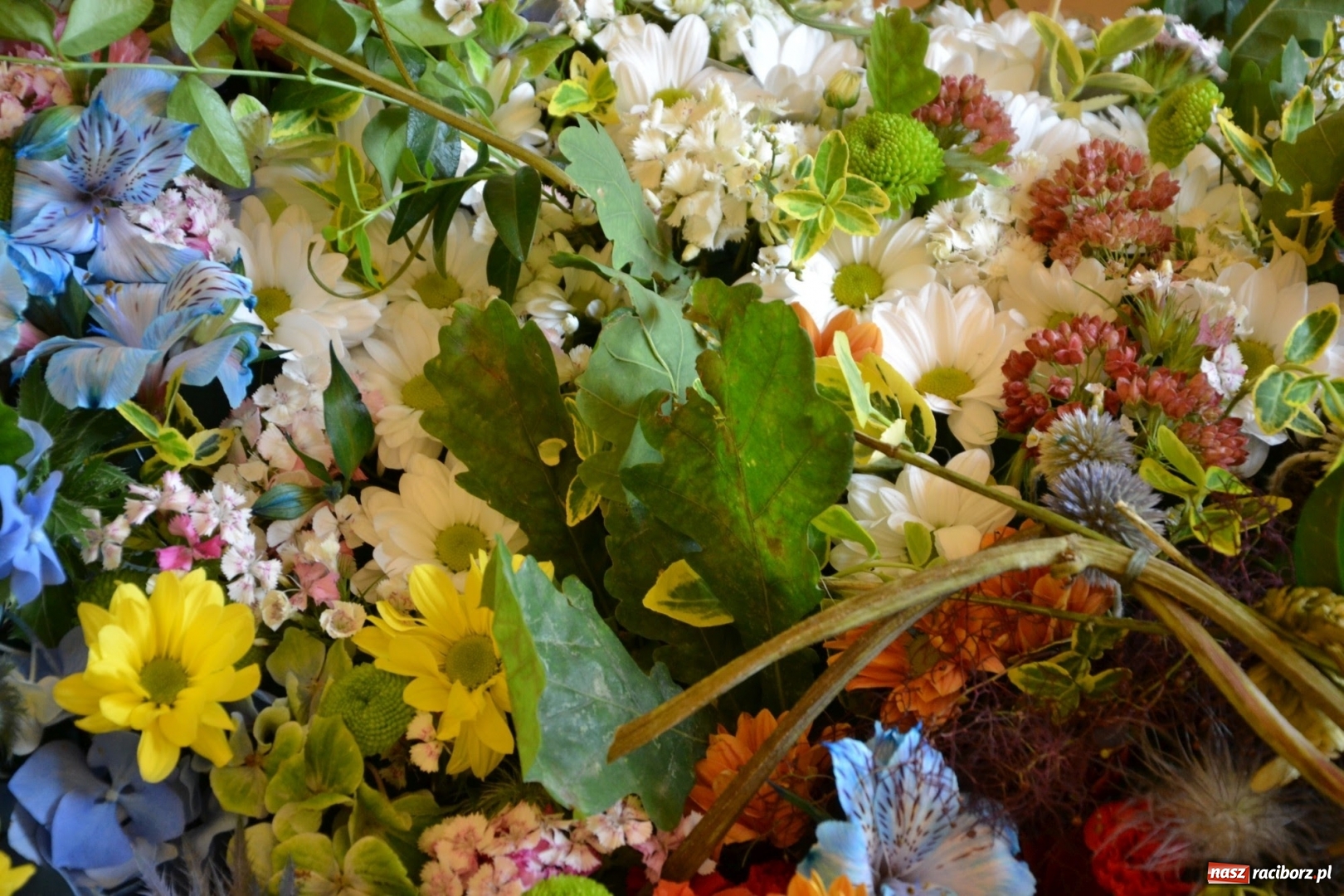 Zdjęcie w galerii na portalu naszraciborz.pl: Tomasz Paszczyński z Raciborza zwycięża w III Krajowych Mistrzostwach Florystycznych Regionu Śląsko-Opolskiego wiadomości z regionu