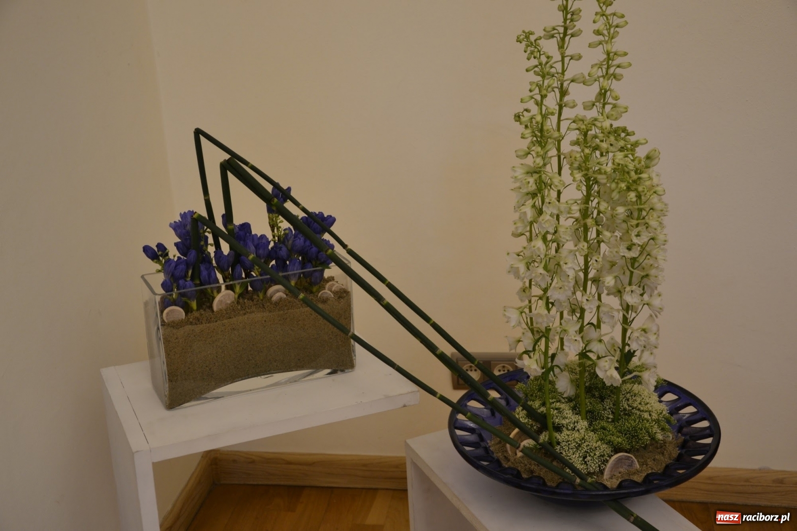 Zdjęcie w galerii na portalu naszraciborz.pl: Tomasz Paszczyński z Raciborza zwycięża w III Krajowych Mistrzostwach Florystycznych Regionu Śląsko-Opolskiego wiadomości z regionu