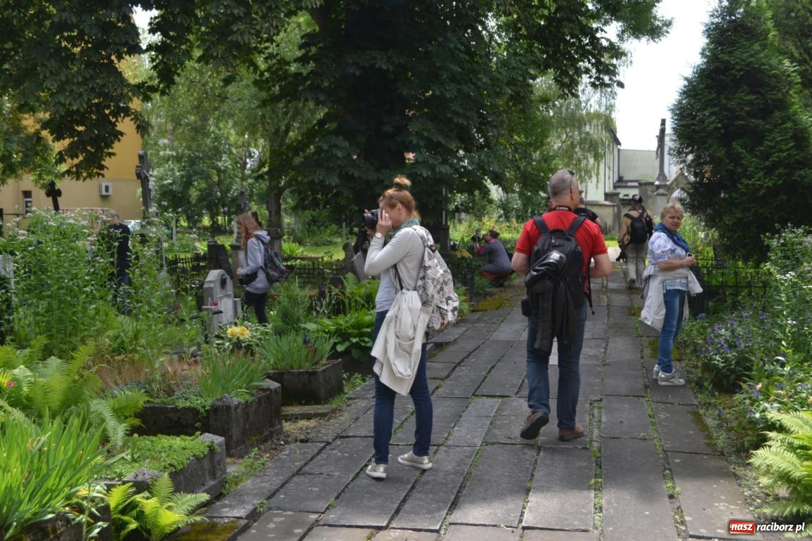 Zdjęcie w galerii na portalu naszraciborz.pl: Racibórz okiem przybysza  wiadomości z regionu