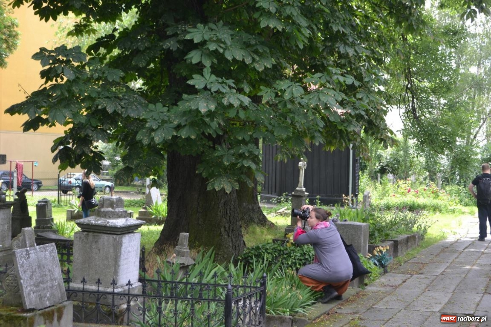 Zdjęcie w galerii na portalu naszraciborz.pl: Racibórz okiem przybysza  wiadomości z regionu