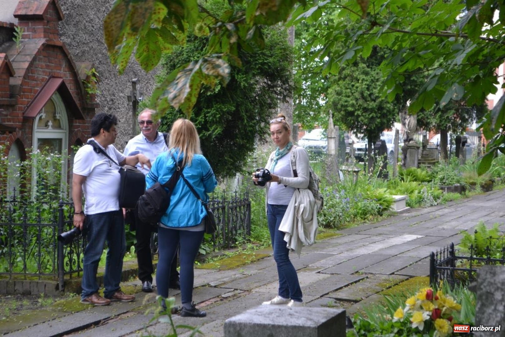 Zdjęcie w galerii na portalu naszraciborz.pl: Racibórz okiem przybysza  wiadomości z regionu