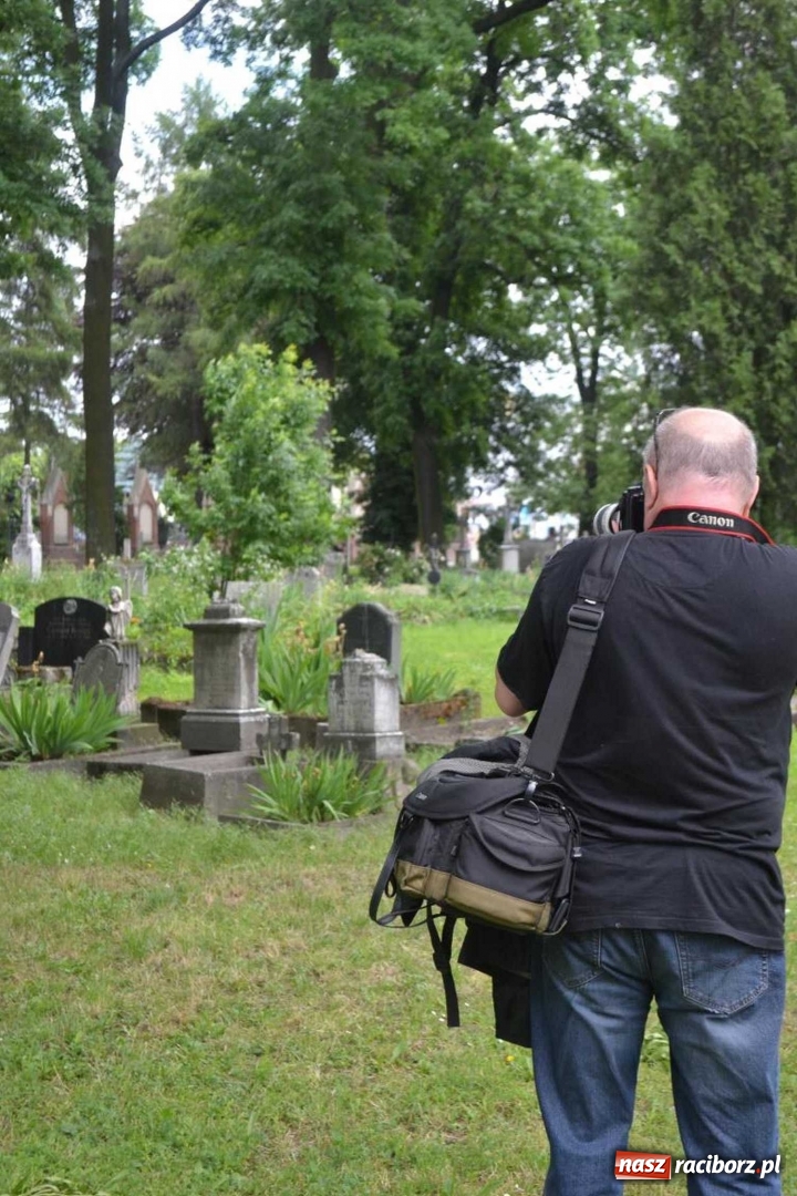Zdjęcie w galerii na portalu naszraciborz.pl: Racibórz okiem przybysza  wiadomości z regionu