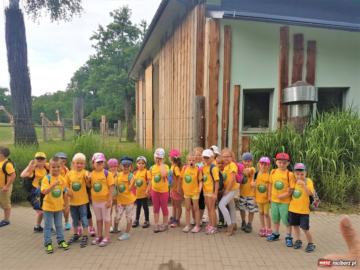 Zdjęcie w galerii na portalu naszraciborz.pl: Przedszkolaki z Nędzy na wycieczce w zoo w Opolu wiadomości z regionu