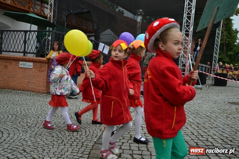Zdjęcie w galerii na portalu naszraciborz.pl: Śląsk Kraina Wielu Kultur - występy zespołów na Zamku Piastowskim wiadomości z regionu