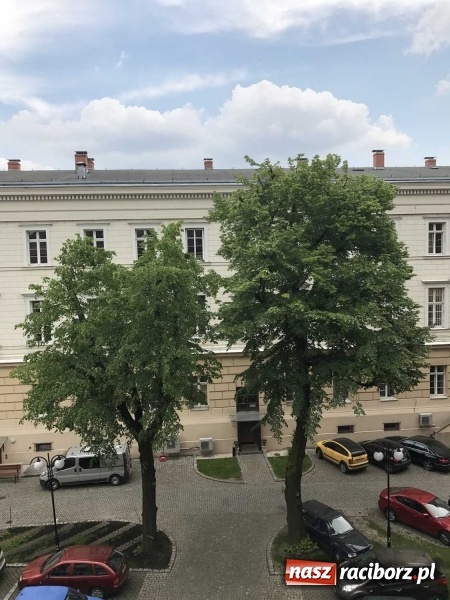 Zdjęcie w galerii na portalu naszraciborz.pl: Wnętrza starego sądu odzyskają blask. W dawnej sali posiedzeń odkryto freski wiadomości z regionu