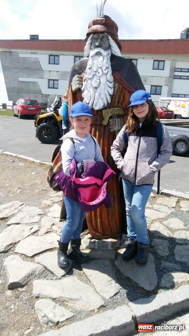 Zdjęcie w galerii na portalu naszraciborz.pl: Młodzi ekolodzy ze Szkoły Podstawowej nr 4 donoszą  wiadomości z regionu