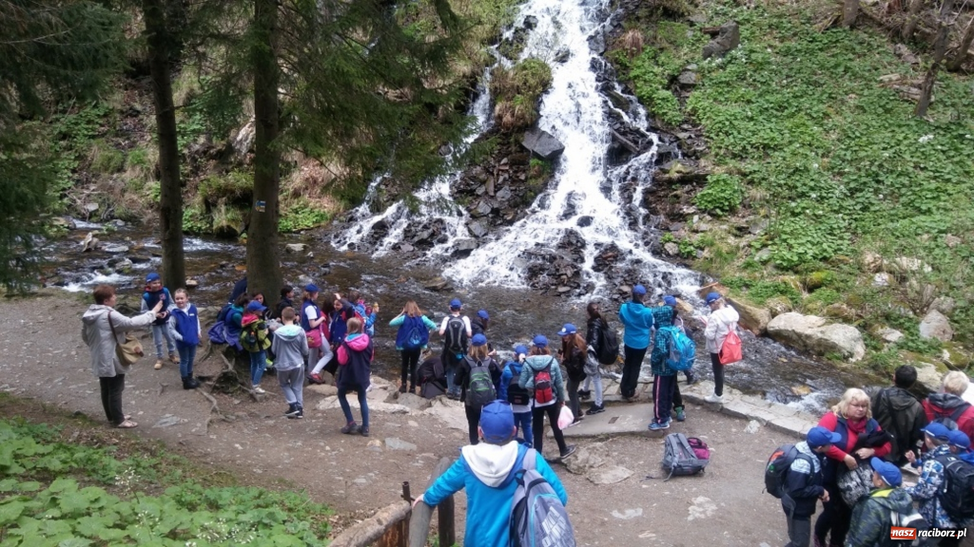 Zdjęcie w galerii na portalu naszraciborz.pl: Młodzi ekolodzy ze Szkoły Podstawowej nr 4 donoszą  wiadomości z regionu
