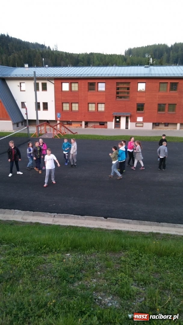 Zdjęcie w galerii na portalu naszraciborz.pl: Młodzi ekolodzy ze Szkoły Podstawowej nr 4 donoszą  wiadomości z regionu