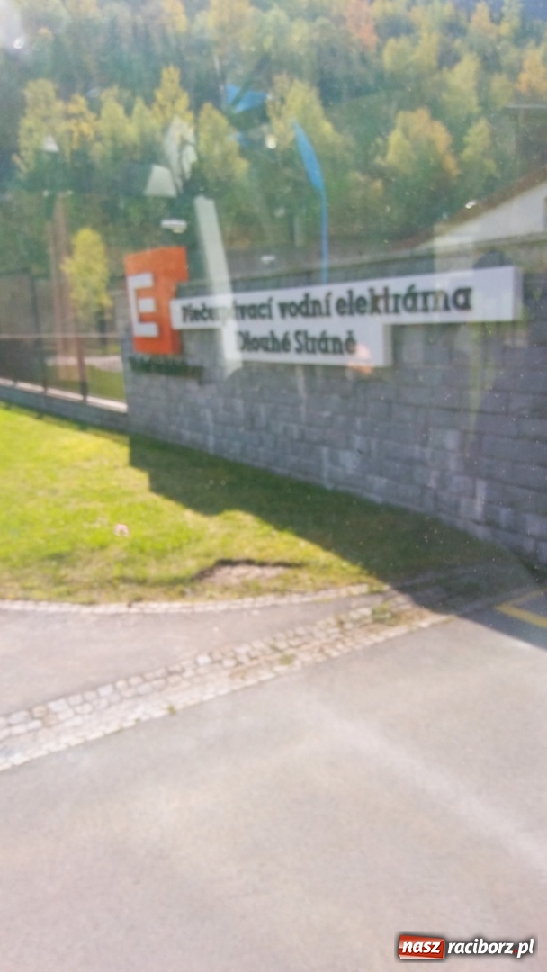 Zdjęcie w galerii na portalu naszraciborz.pl: Młodzi ekolodzy ze Szkoły Podstawowej nr 4 donoszą  wiadomości z regionu